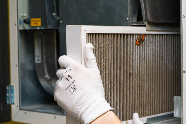 Best Ductwork Cleaning Services  in Westchester, FL